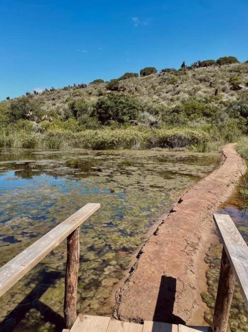 Heron Cottage - Living The Breede Malgas Kültér fotó